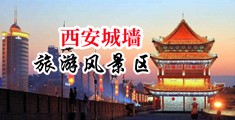 初中生自我评价300字左右中国陕西-西安城墙旅游风景区
