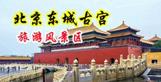 骚逼淫荡视频中国北京-东城古宫旅游风景区